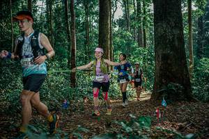 BIB: 
                            <button type="button" onclick="openModal(26129744)" class="btn btn-primary btn-sm float-right btn-popup" data-toggle="modal" data-target=".modal-high-quality">
                        <i class="fas fa-shopping-cart"></i> Add to Cart
                    </button>
                                            <button type="button" onclick="isThisMe(26129744, true)" class="btn btn-success btn-sm float-right btn-popup btn-isme hidden" data-toggle="tooltip" data-placement="bottom" title="นี่คือรูปของคุณใช่ไหม คลิกที่นี่เพื่อเอาเข้าอัลบั้ม">
                        <i class="fas fa-plus"></i> Add to album
                    </button>
                    <button type="button" onclick="isThisMe(26129744, false)" class="btn btn-warning btn-sm float-right btn-popup btn-isnotme hidden">
                        <i class="fas fa-ban"></i> Remove from album
                    </button>